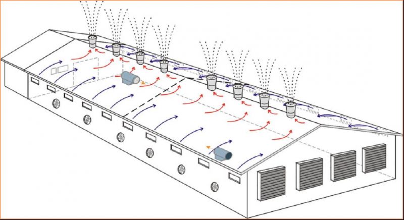 換氣降溫解決方案河源畜牧養殖豬場