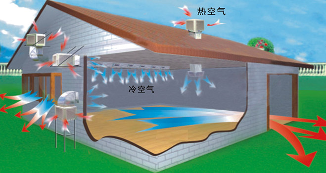 降溫換氣方法辦法梅州畜牧養殖豬場